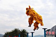 算命八字（文化中国行）壮乡狮舞闯南洋：脚踏“云桩” 饮誉海内外