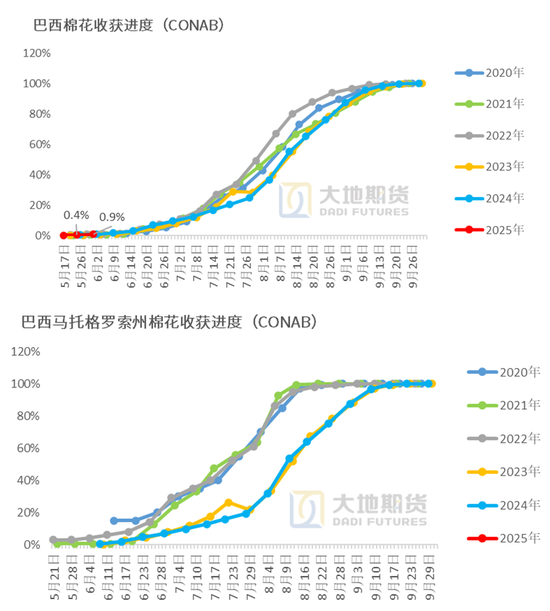 棉花：矛盾在(💸)解决中，但效果有(🐕)限